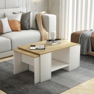 Sanem Safir Meşe Beyaz Orta Sehpa Sanem Safir Meşe Beyaz Orta Sehpa